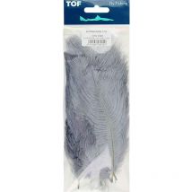 Strauss Tof 1018003