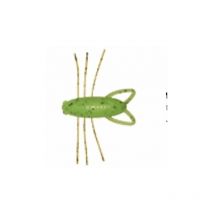Leurre Souple Reins Insecter 4cm - Par 5 14