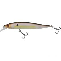 Sinkender Köder - 10cm Berkley Dex Stunna 100 - 10cm 1639937