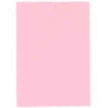 Foam Fly Scene Thin Fly Foam 22-02221