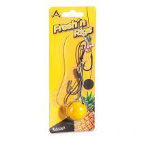 Car Deodorant Anaconda Fresh ́n Rigs 2444002