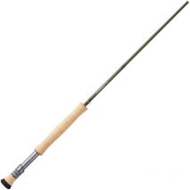 Canna Da Mosca Sage Sonic 29101