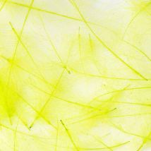 Entenbutt Fly Scene Feathers 1g 40-90508