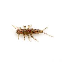 Leurre Souple Fishup Stonefly - 2cm - Par 12 45