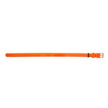 Collar Perro Eurohunt Hp&g 510850