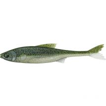 Esca Artificiale Morbida Stucki Fishing Real Rider Fish Tail - 7cm - Pacchetto Di 6 52323407-035