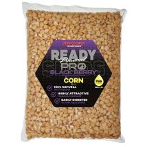 Gekochte Samen Starbaits Ready Seeds Blackberry 73430