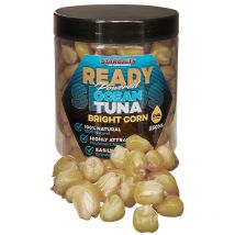 Vorbereitete Samen Starbaits Ready Seeds Bright Corn 74657