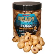 Bereide Zaden Starbaits Ready Seeds Bright Tiger 74667