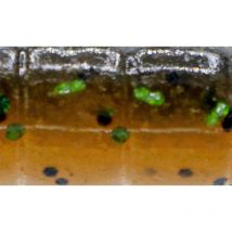 Softbait Herakles Bazzy Bug 3.2" - 8cm - Partij Van 10 Arhkbaz74