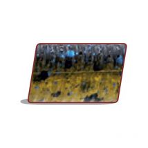 Softbait Herakles R-snake - 14cm - Partij Van 10 Arhkrsn67