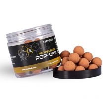 Floating Boilie Nashbait Scopex Squid Pop Ups B6322