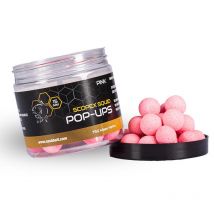 Floating Boilie Nashbait Scopex Squid Pop Ups B6327