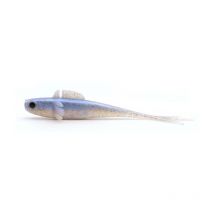 Leurre Souple Lurejunks Weepin - 20,5cm Baitfish