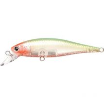 Suspending Lure Lucky Craft B'freeze Pointer Bf65sp-1314