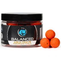 Hookbait Any Water Balanced Boilies Blac16