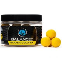 Hookbait Any Water Balanced Boilies Blbs16