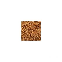 Graine Préparée Pro Elite Baits Cooked Particles Blé - Pêcheur.com