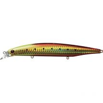 Leurre Coulant Daiwa Shoreline Shiner Z Vertice - 14cm Burning Gold Iwashi - Pêcheur.com