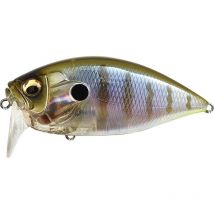 Floating Lure Megabass O.r.c. Burning Shad 6cm Burningshgillkko