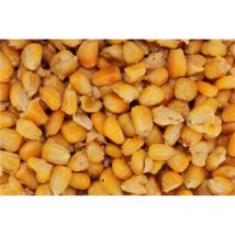 Vorbereitete Samen Pro Elite Baits Cooked Particles C8434164