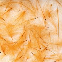 Cul De Canard Fly Scene Feathers 1g Cannelle