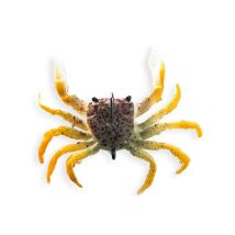 Gummifisch Chasebaits Crusty Crab 50 - 2er Pack Cc50-16