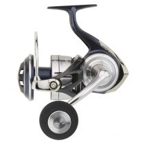 Moulinet Daiwa Certate Sw Cerg21sw10000p - Pêcheur.com