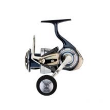 Moulinet Daiwa Certate Sw Cerg21sw5000h - Pêcheur.com