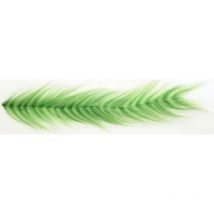 Dubbing Jmc Polar Brush Grizzly Chartreuse - Pêcheur.com