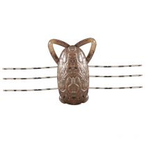 Señuelo Blando Reins Chibisecter 1,6" - 3cm - Paquete De 4 Chibsecter16-07