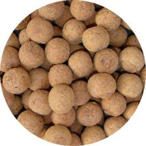 Bouillette Specimen Carpe Dixtinction Coco Tigernuts - Pêcheur.com