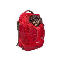 Rucksack Kurgo G-train K9 Cy0838