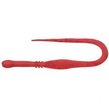 Zacht Kunstaas - 7.5cm Ecogear Jukusei Tairaba Aqua Kuwase Curly Slim - 7.5cm - Partij Van 12 Eco17118