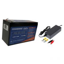 Pack Bateria De Lítio Power Sonic Lifepo4 Power Sonic Avec Chargeur 2a Ensemble-bl1207+atom12-2