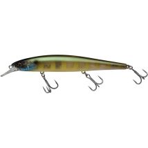 Leurre Suspending Illex Mag Squad 160 Sp - 16cm Etto Noike Gill - Pour Pêche des Carnassiers - Pêcheur.com