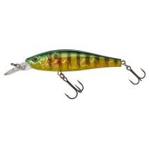 Leurre Flottant Gunki Gamera 90 F - 9cm Fire Gold Perch - Pêcheur.com