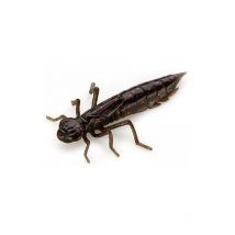 Vinilo Fishup Dragonfly - 4.5cm - Paquete De 8 Fis-dfly1.7-50