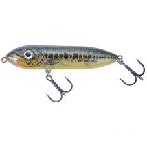 Leurre De Surface Heddon Super Spook Boyo - 7.5cm Florida Bass