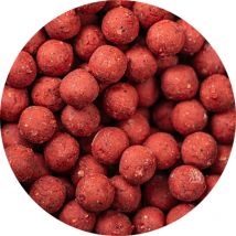 Bouillette Specimen Carpe Dixtinction Fraise Calamar - Pêcheur.com