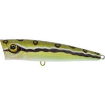 Leurre De Surface Volkien Splasher 100 - 10cm Frog