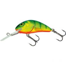 Leurre Flottant Salmo Hornet Floating - 5cm Hot Perch