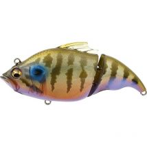 Leurre Flottant Megabass Vatalion 115 F - 11.5cm Ito Cichlid - Pêcheur.com