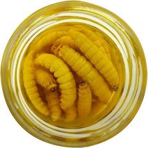 Teignes Momifiées Truite Innovation Jaune