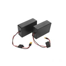 Batterie Lithium Carp Royal Lithium Ionen Battery Set 2 Pieces Boat L40a