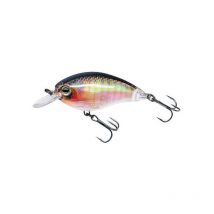 Esca Galleggiante Yo-zuri 3dr Shallow Crank - 5cm Lyrcs50rbg