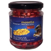 Graine Preparée Mosella Maïs Maïs Fraise