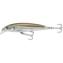 Leurre Suspending Rapala Saltwater X-rap - 10cm Mm - Pêcheur.com