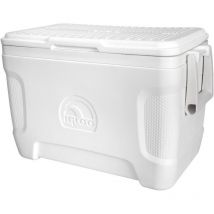 Glaciere Portable Igloo Modèle 25 - Pêcheur.com