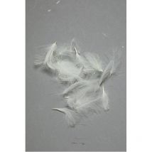 Cul De Canard Fly Scene Feathers 1g Natural White - Pêcheur.com